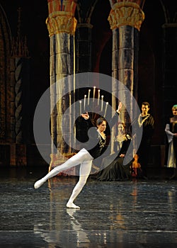 Elegant and noble prince-The prince adult ceremony-ballet Swan Lake