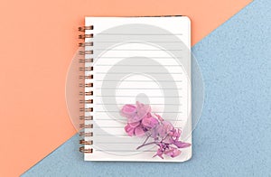 Elegant notebook mockup, blank white paper with dried flowers and with copy space, top view, concept of femenine