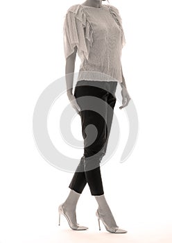 Elegant outfit for women, white background