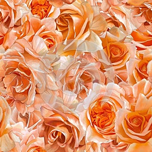 Elegant Peach Rose Petals Background for Sophisticated Designs