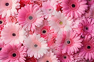 Elegant Pink Gerbera Daisies and Roses Bouquet for Any Occasion