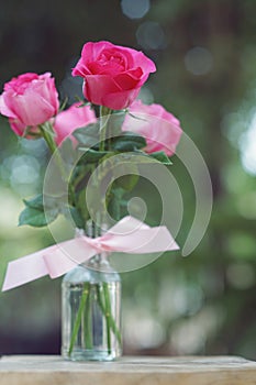 Elegant pink roses in vase, beautiful valentine`s day gift concept