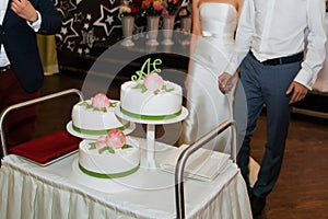 elegant pretty young bride and groom cut the wedding cake