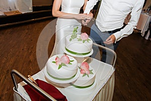 elegant pretty young bride and groom cut the wedding cake