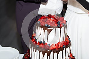 elegant pretty young bride and groom cut the wedding cake