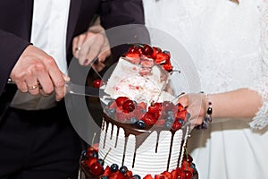 elegant pretty young bride and groom cut the wedding cake