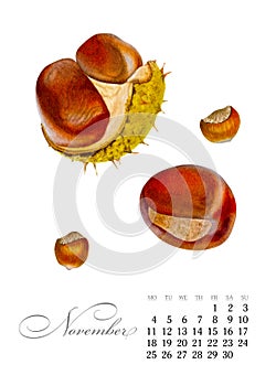 Elegant printable calendar 2019. November. Watercolor chestnuts. Botanical art. Template for a banner, notebook