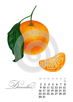 Elegant printable calendar 2019. December. Watercolor Mandarin. Botanical art. Template for a banner, notebook