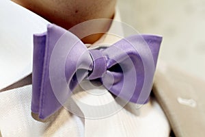Elegant purple the bow tie