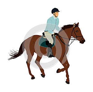 Elegant racing horse in gallop vector illustration isolated on white background. Jockey riding horse in race. Hippodrome sport .