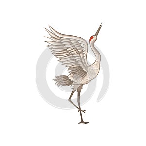 Elegant red-crowned crane standing on one leg with wide open wings. Wild bird with long beak. Flat vector icon