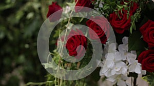 Elegant red roses and white hydrangeas adorn wedding venue. Luxurious floral arrangement for nuptials celebration