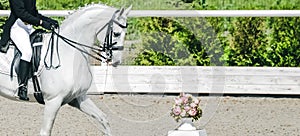 Elegant rider woman and white horse. Beautiful girl at advanced dressage test on equestrian competition.