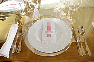 Elegant and Romantic Decoration, Table Single Place