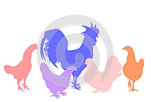 Elegant Rooster and chickens vector silhouette illustration isolated on white background.