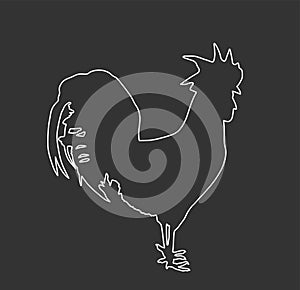 Elegant rooster vector line contour illustration isolated on black background. Male chicken organic food. Farm chantry cock.