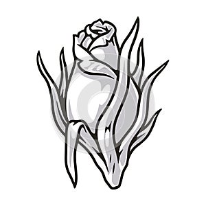 Elegant rose monochrome vintage sticker