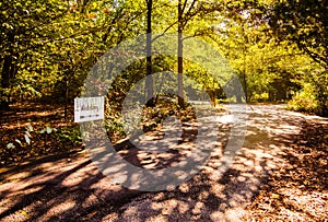 Outdoor park for romantic wedding