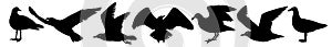 Elegant seagulls silhouettes vector set