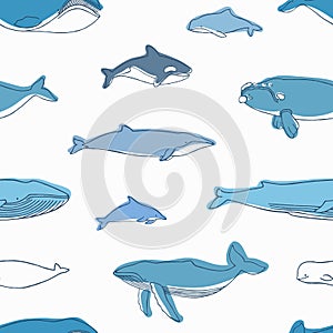 Elegant seamless pattern with different aquatic animals or marine mammals hand drawn on white background - whales