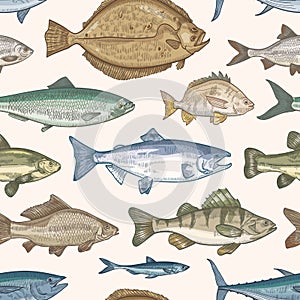 Elegant seamless pattern with different types of fish on light background. Backdrop with marine or freshwater animals