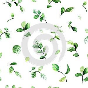 Elegant seamless pattern with green leaves painted with watercolors on white background.