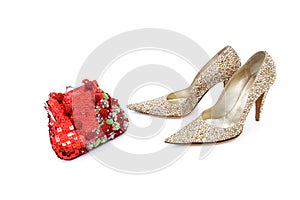 Elegant shiny shoes and purse