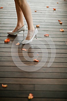 Elegant shoes on heels in silver color on woman`s leg -Petals fro roses around