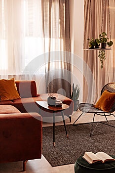 Elegant small wooden coffee table with lowers in front of big velvet corner sofa with pillows