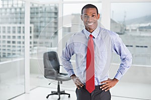 Elegant smiling Afro businessman standing in office