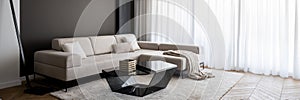 Elegant sofa in bright living room, panorama