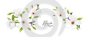 Elegant spring magnolia flowers bouquet set. Blooming branches, green leaves editable floral watercolor style vector Illustration