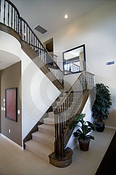 Elegant stair case and wooden banister