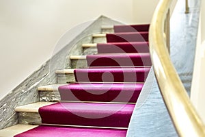 Elegant staircase with a purple velvet carpet on the steps and a brass handrail