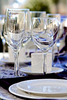 Elegant Stemware photo