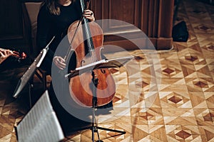 Elegant string quartet performing in luxury room at wedding reception in restaurant. woman in black playing on violin and cello