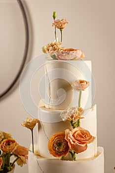 Elegant style wedding cake