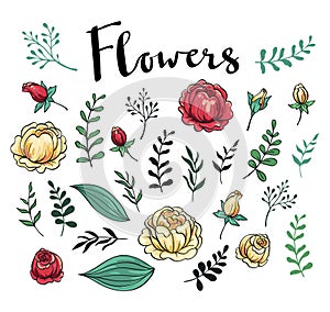 Elegant style wedding invitation elements set.