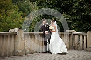 elegant stylish young couple