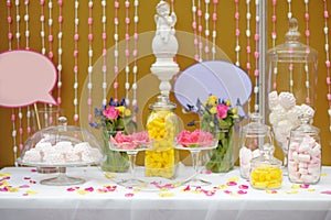 Elegant sweet table or candy bar