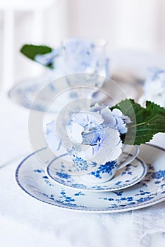 Elegant table setting with flowers