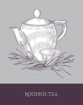 Elegant teapot, glass cup with steeping rooibos tea and plant with leaves hand drawn with contour lines on gray