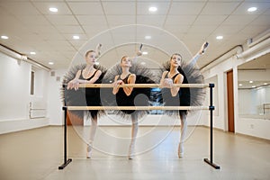 Elegant teen ballerinas poses at barre in class