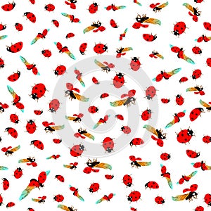 Elegant texture vector ladybird seamless pattern