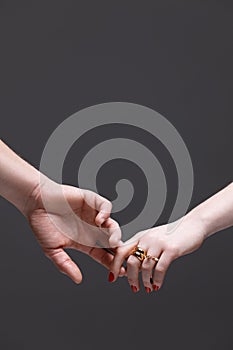 Elegant Touch: A Connection of Two Hands Adorned with Rings