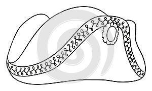 Elegant tricorne hat in outlines to coloring, Vector illustration