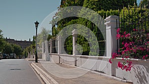 Elegant Urban Street Bordered by Lush Greenery and Vibrant Bougainvillea