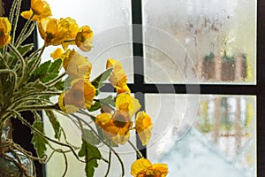 An elegant vase of yellow flowers next to the glass window still has dewdrops. Romantic floral decoration