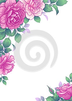 Elegant Vector Background with Rose Flowers