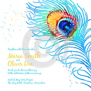 Elegant vector background with watercolor peacock feather